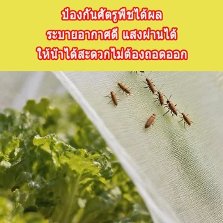 ตาข่ายปลูกผัก มุ้งกันแมลงผัก มุ้งขาว 32ตา 40ตา 60ตา ตาข่ายกันแมลงปลูกผัก เนื้อหนา ทนทาน ส่งจากไทย
