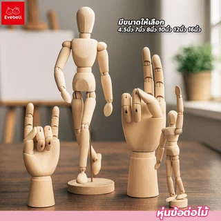 evebell หุ่นไม้จำลอง หุ่นข้อต่อไม้ ขยับได้ โมเดลมือไม้ สำหรับใช้เป็นสื่อการเรียนการสอน
