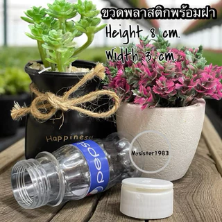 ขวดจัดเก็บ ขวดมีฝาปิด ขวดพลาสติกและขวดแก้วมีหลายกหลายตัวเลือก
