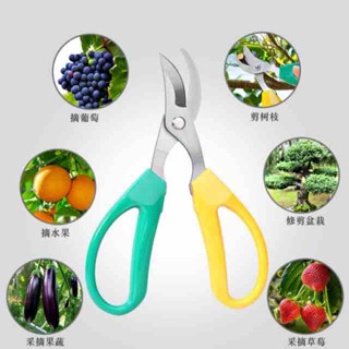 กรรไกรตัดแต่งกิ่งไม้ ( ด้ามเขียวเหลือง )