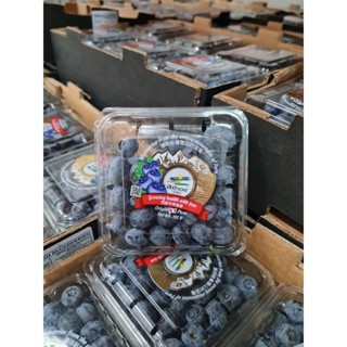 Blueberry peru บลูเบอรี่นำเข้าจากเปรูสดใหม่ ***ซื้อยกลังกด 1…