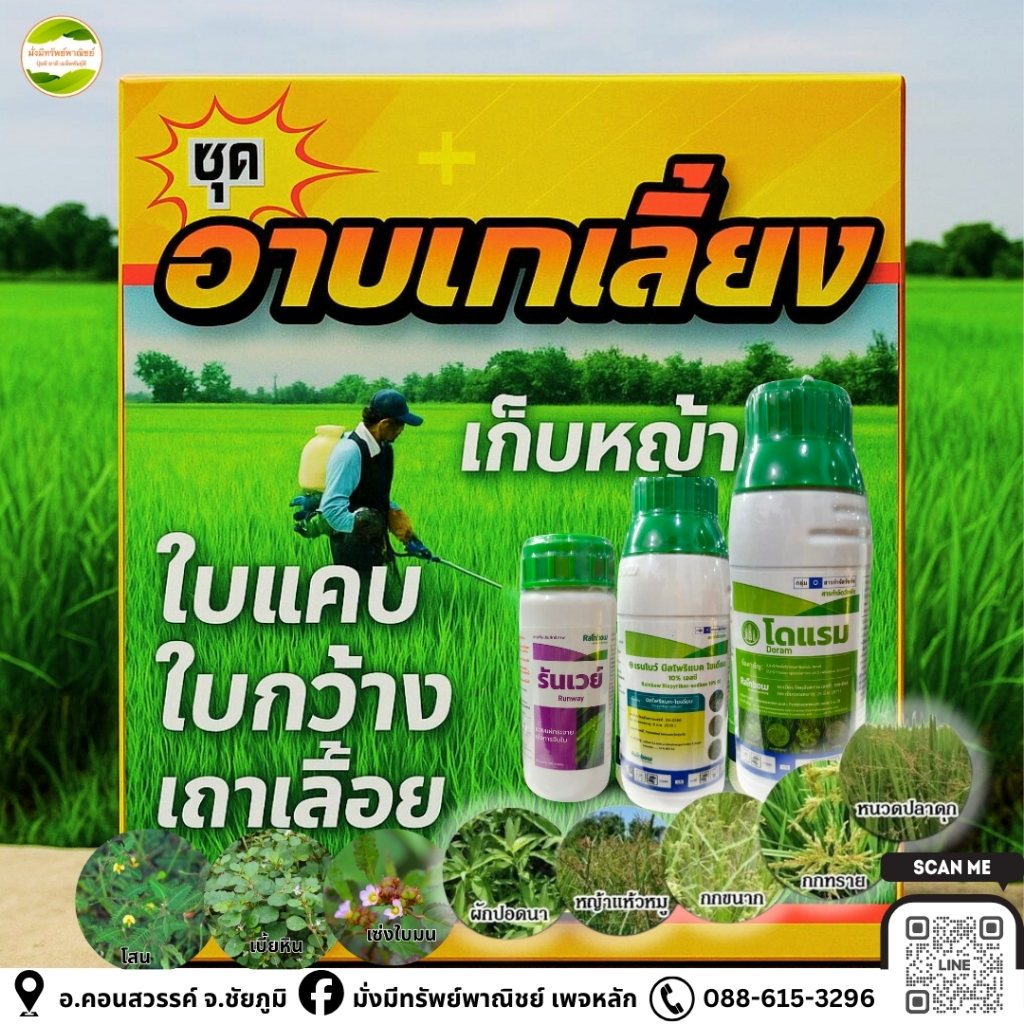 อาบเกลี้ยง 4-5ไร่ ครบจบทุกหญ้า นาข้าวปลอดภัย
