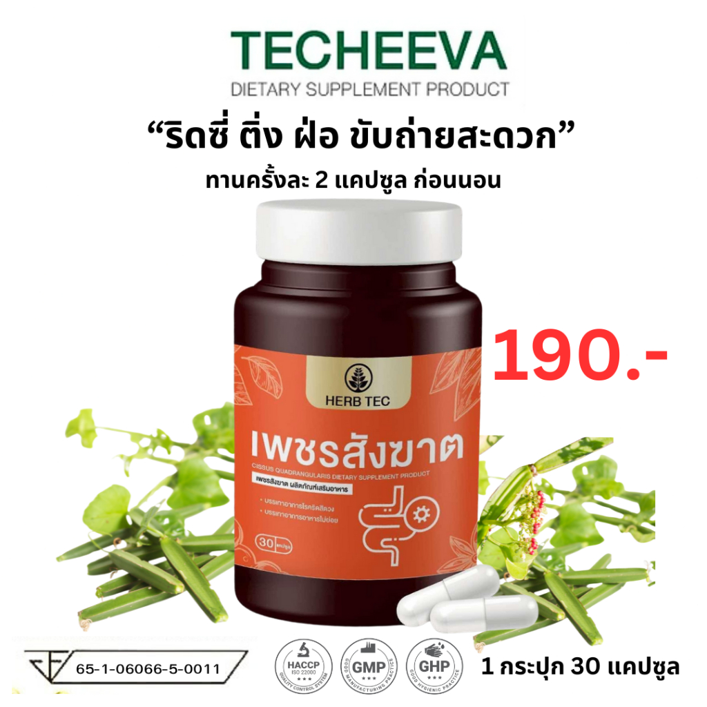HERB TEC เพชรสังฆาต ริดสีดวง Hemorrhoids ติ่งยื่น ยุบ แห้ง ฝ่อ ท้องผูก ขับถ่ายยาก ริดสี 30 แคปซูล