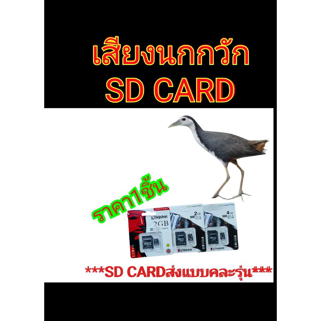 เสียงนกกวักบันทึกใน SD CARD พร้อมใช้