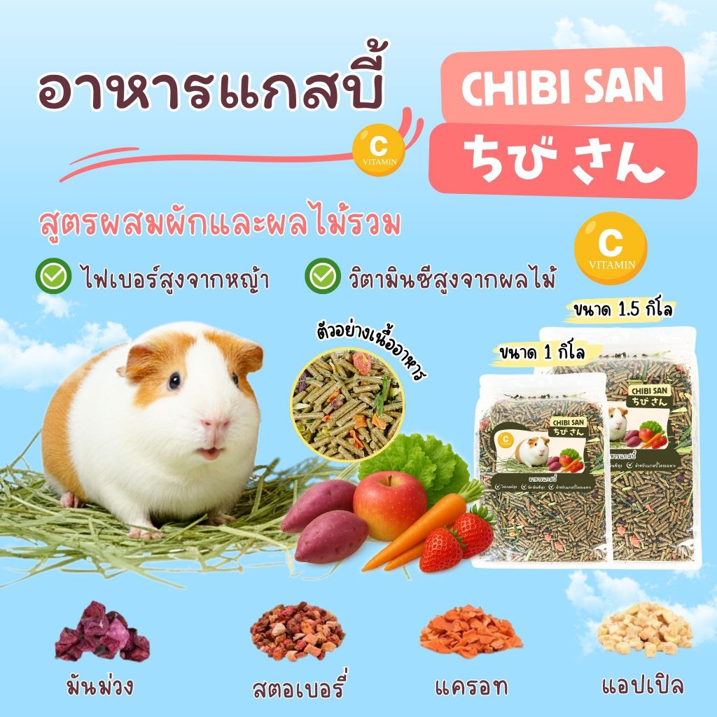อาหารแกสบี้ Chibi san เกรดพรีเมียม วิตามินซีสูง สำหรับแกสบี้ทุกช่วงวัย อาหารสัตว์เล็ก