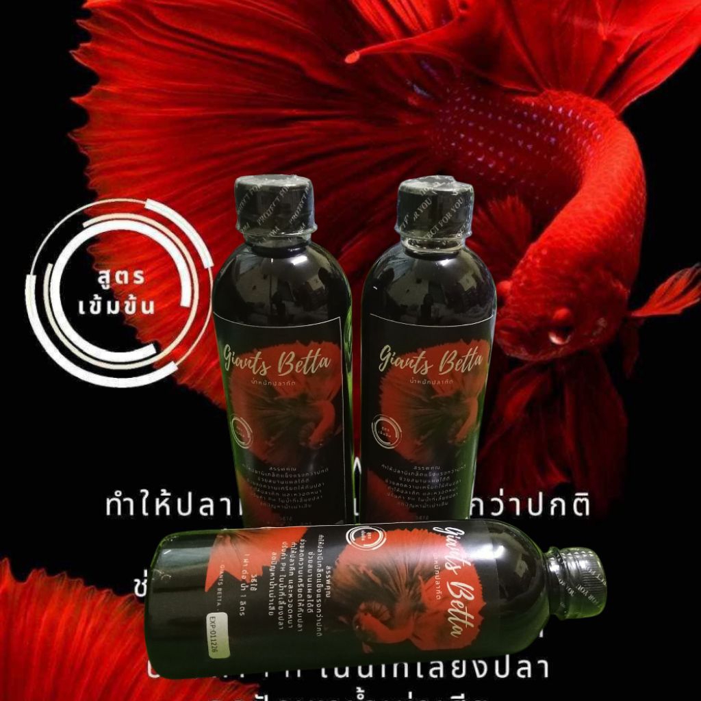 น้ำหมักใบหูกวางสำหรับปลากัด✨ส่งด่วน✨ เลี้ยงปลากัด เร่งโต เพิ่มภูมิคุมกัน