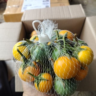 มะเขือขื่น รวมแพ็ค 1 กิโลกรัม คละลูกสีเขียว สีเหลือง ปนกันไป…