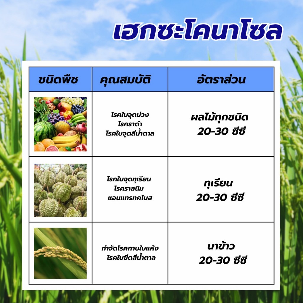เฮกซาน เฮกซะโคนาโซล (ขนาด 1 ลิตร) ใช้ป้องกันกำจัดโรคพืช ใบไหม้ เมล็ดด่าง ใบจุดในกล้วยไม้ แอนแทรคโนสในทุเรียน - รูปที่ 2