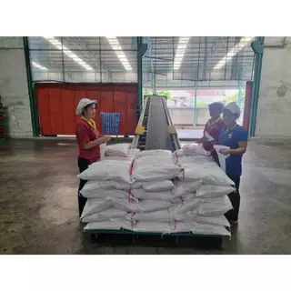 [10กก+10กก=20กก] GREEN ข้าวหอมมะลิใบเตย ข้าวหอมใบเตย ต้นฤดู เกรดส่งออก ข้าวสาร ตรา กำปั่นทอง ขนาด 10กก+10กก=20 กิโลกรัม