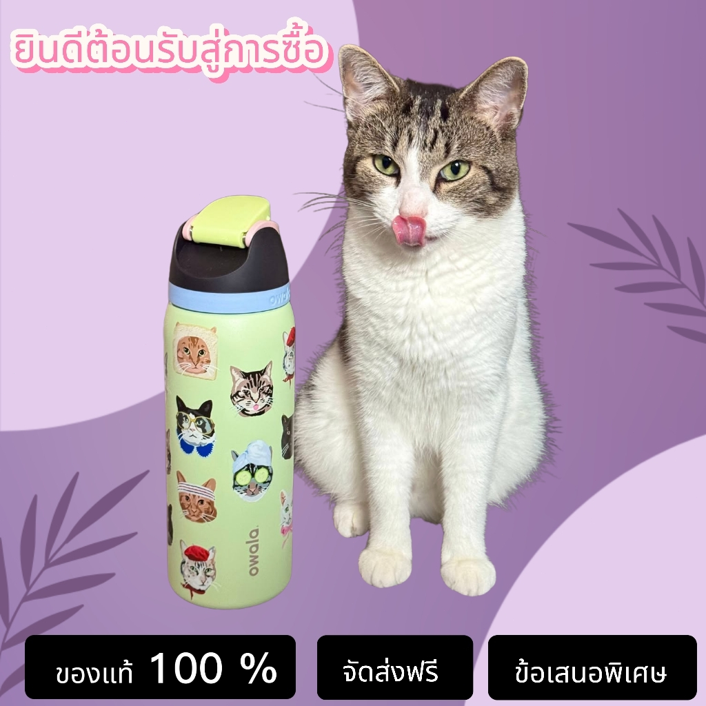 【ของแท้ 100 %】Owala UO Exclusive Cat Collage FreeSip 32oz Water Bottle แก้วน้ำ