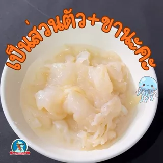 [สด..เนื้อเด้ง] แมงกะพรุนดองจืด ขนาด 1 กิโลกรัม แมงกะพรุนล้างจืด แมงกะพรุน