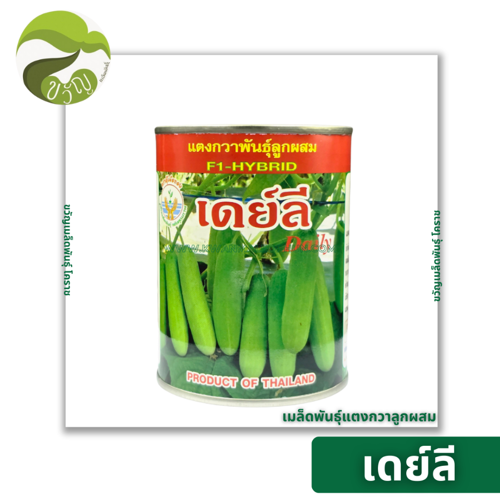 เมล็ดพันธุ์แตงกวาลูกผสม (เดย์ลี) จาก พาวเวอร์ซีด