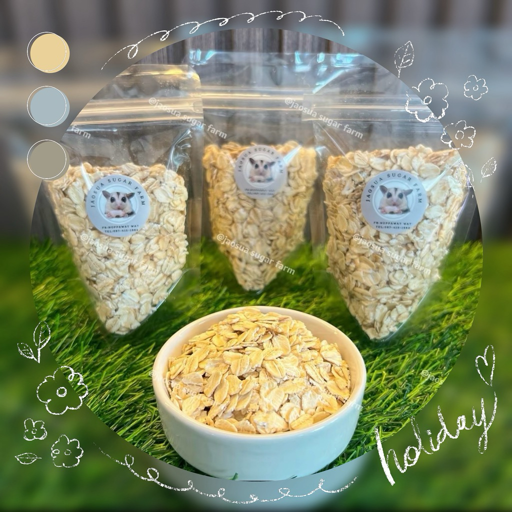 ✨🌾ข้าวโอ๊ตพร้อมทานเกรดพรีเมี่ยม สำหรับ ชูการ์ กระรอก ดอร์เมาส์ แฮมสเตอร์ นก และ สัตว์เลี้ยงขนาดเล็กอื่นๆ🐿️🦔