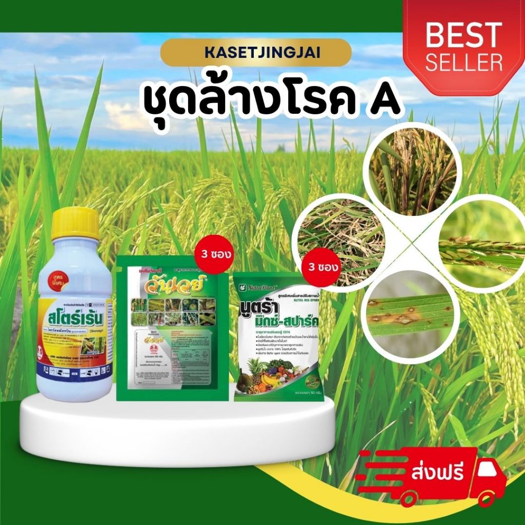 ชุดล้างโรค ป้องกันและรักษา ใบไหม้ ใบจุด ขอบใบแห้ง ราเมล็ดด่าง เน่าคอรวง