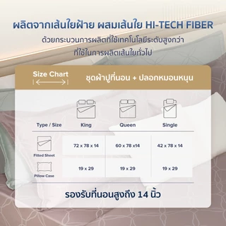 AMOUR - VERBENA COLLECTION 460 Series (*สินค้าแยกชิ้น-โปรดเลือกชนิดสินค้า) ผ้าปูที่นอน, ผ้านวมเย็บสำเร็จ