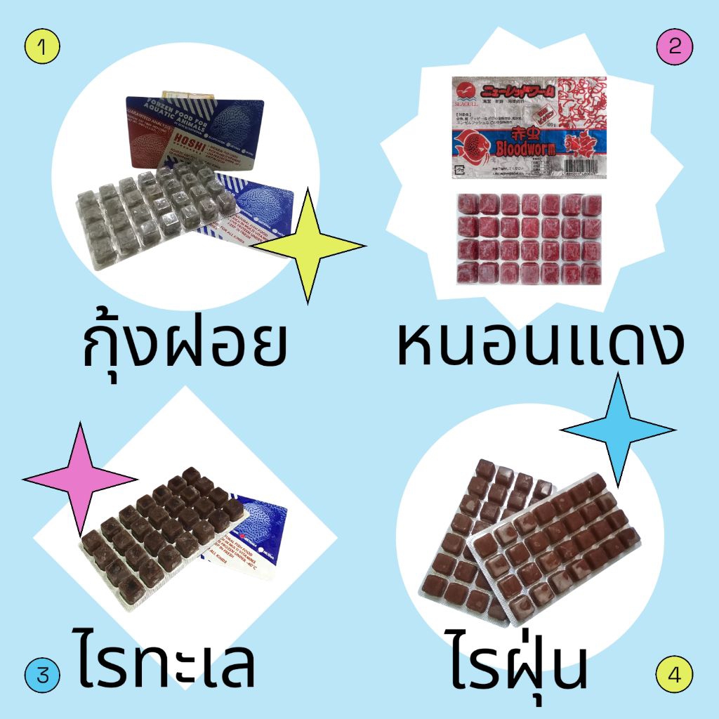 หนอนแดง ไรทะเล ไรฝุ่น กุ้งฝอย ✨ส่งด่วน✨ อาหารปลา ปู เต่า สัตว์น้ำทุกชนิด