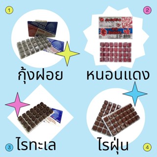 หนอนแดง ไรทะเล ไรฝุ่น กุ้งฝอย ✨ส่งด่วน✨ อาหารปลา ปู เต่า สัต…