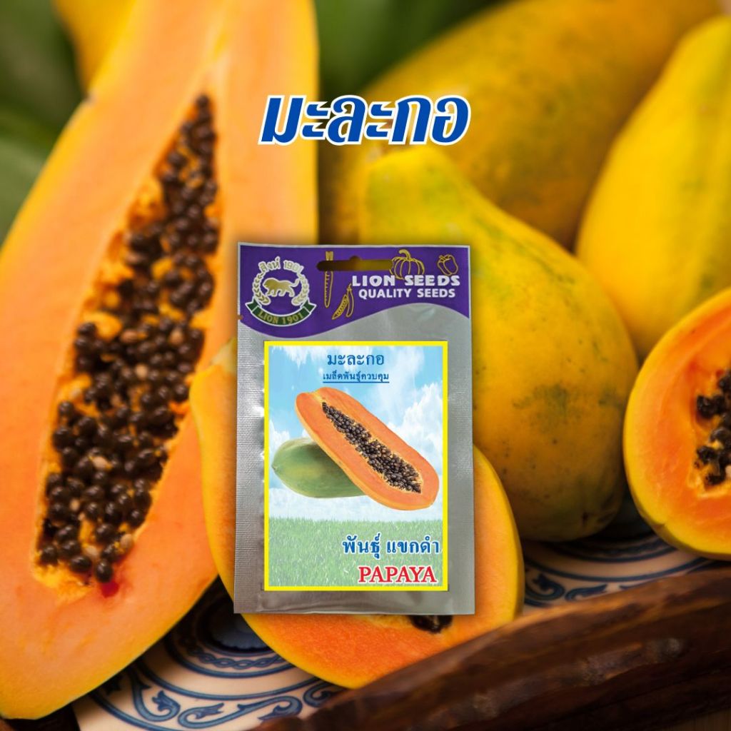 มะละกอแขกดำ PAPAYA ซองop