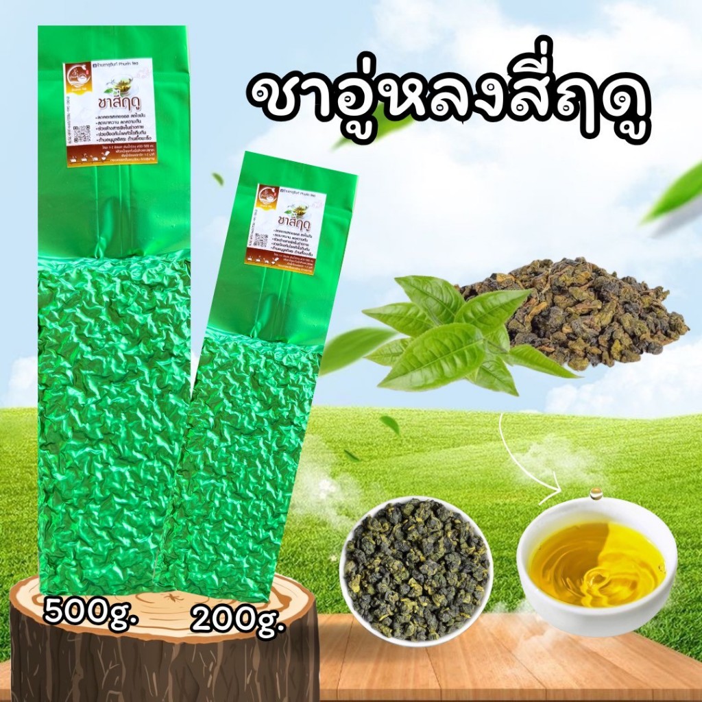 🍃ชาอู่หลงสี่ฤดู ปลอดสาร Organic 四季春茶 พร้อมส่ง ปลูกเอง