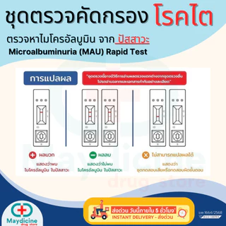 ชุดตรวจโรคไต ตรวจหาโปรตีนไมโครอัลบูมิน จากปัสสาวะ Microalbuminuria (MAU) Rapid Test Auramed
