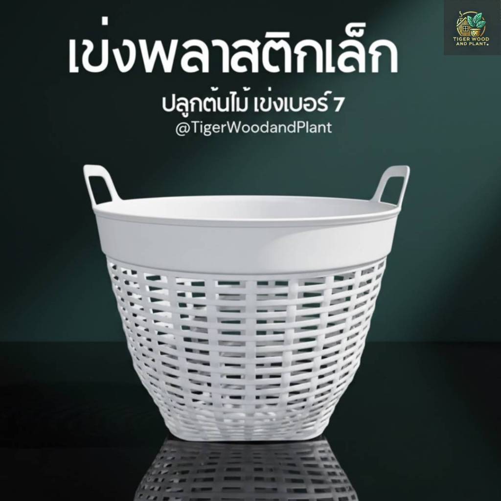 เข่งพลาสติกเล็ก สีขาว เบอร์ 7 (แพคแบ่งขาย) เข่งใส่ต้นไม้ เข่งปลูกต้นไม้