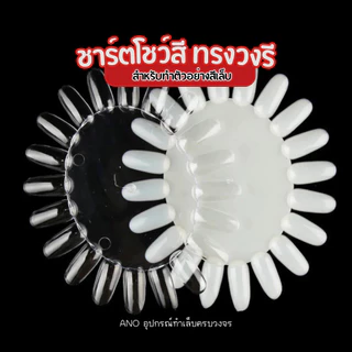 ชาร์ตโชว์สี ทรงว​ง​รี : สำหรับทำตัวอย่างสี ฝึกทาสี ฝึกเพ้นท์เล็บ
