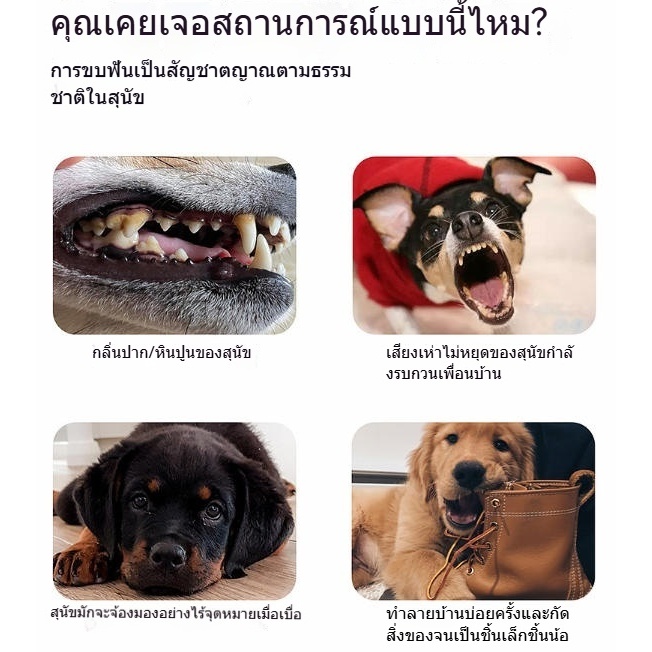 Haven Luxe แท่งกาแฟ กระดูกสุนัข ของเล่นแทะ ทำความสะอาดฟัน ป้องกันสุนัขทำลายบ้านได้อย่างมีประสิทธิภาพ กระดูกของเล่น - รูปที่ 5