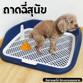 🐶ห้องน้ำหมาขอบสี่เหลี่ยม ห้องน้ำสุนัข ถาดฉี่สุนัข มีเสาถอดได้ มีตะแกรงรองถาด ทำความสะอาดง่าย ถาดรองฉี่สุนัข