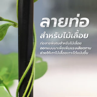 chishop ร่มดอกไม้ โครงเหล็กดัด ทรงร่ม ซุ้มไม้เลื้อย อุปกรณ์ตกแต่งสวน
