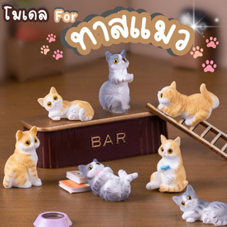 ทาสแมว โมเดลแก๊งแมวน่ารัก ของตกแต่ง ของสะสม แมวจิ๋วสุดน่ารัก