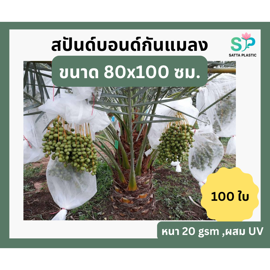 สปันบอนด์ห่อผลไม้ กว้าง 80 x100 ซม. 100 ใบ ป้องกันผิวผลไม้ ผิวสวยงาม กันแมลง ถุงผ้ากันแมลง