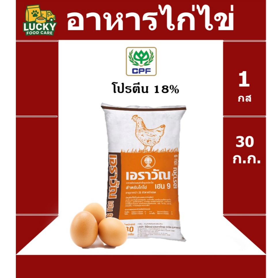 อาหาร ไก่ไข่ เอราวัณ ซีพี CP ขนาด 30 กก. โปรตีน 18%