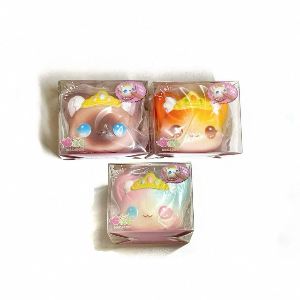 สกุชชี่น้องหมี 🐻 iboom