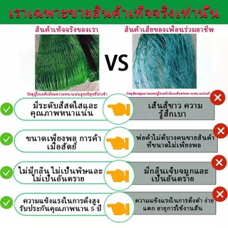 🥇แถมฟรี! ตาข่ายล้อมไก่ ตาข่ายพลาสติก ตาข่ายไนล่อน สูง 2 อวนล้อมไก่ ตาข่ายล้อมไก่ยาว100เมตร ตาข่ายกันนก ตาข่ายเข