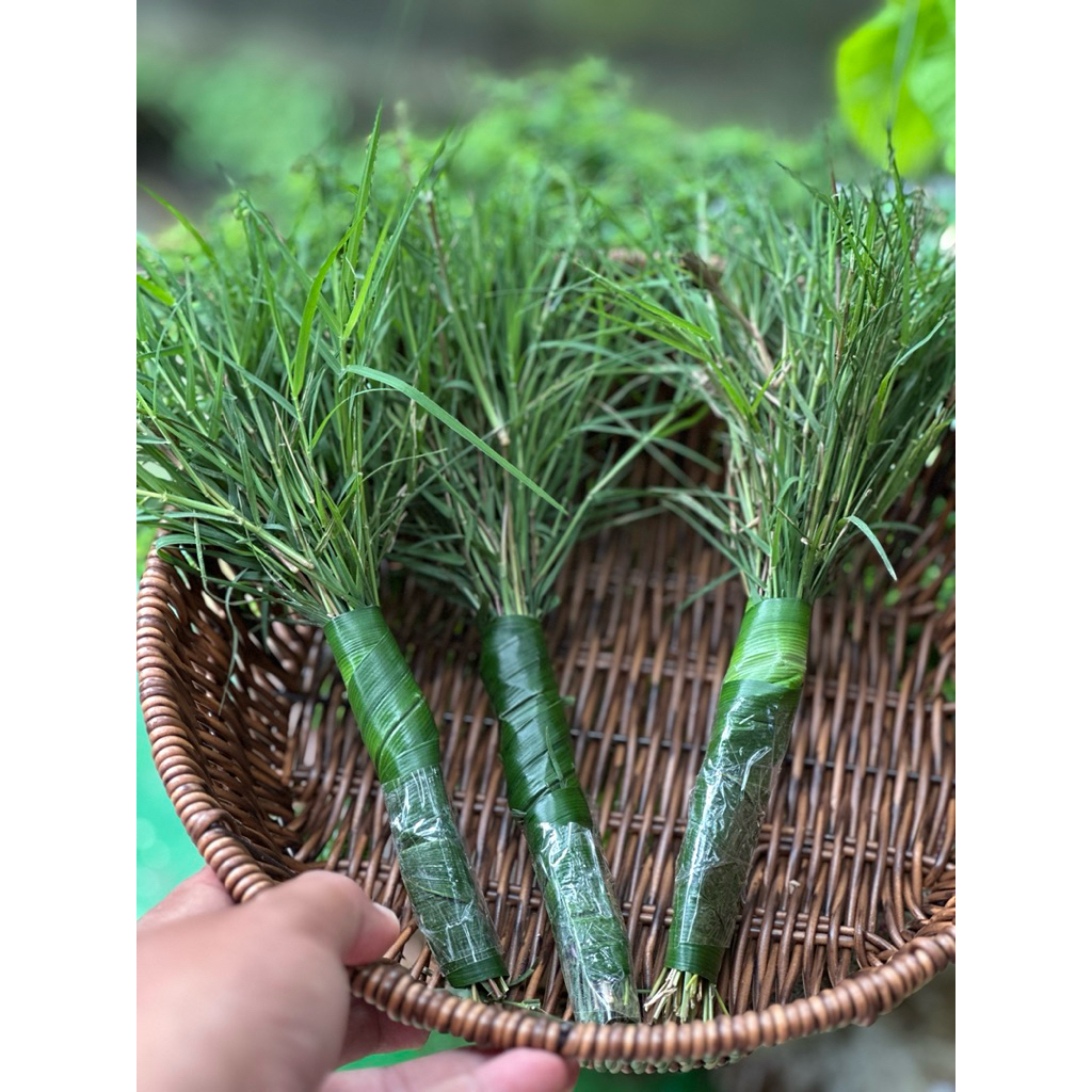 หญ้าแพรก ตัดสดตามออเดอร์ 3มัด