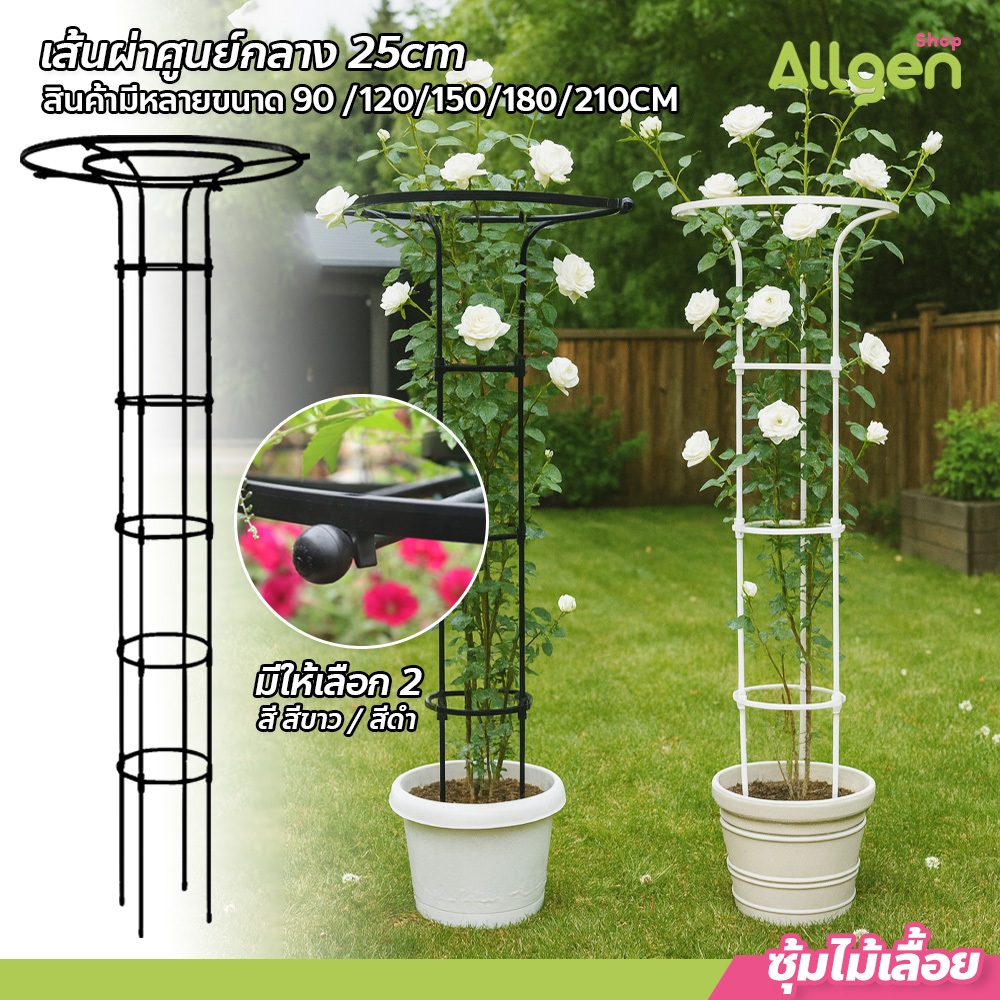 allgen ซุ้มไม้เลื้อย ทรงร่ม สูง เถาวัลย์ ดอกไม้ยึด ซุ้มไม้ระแนง