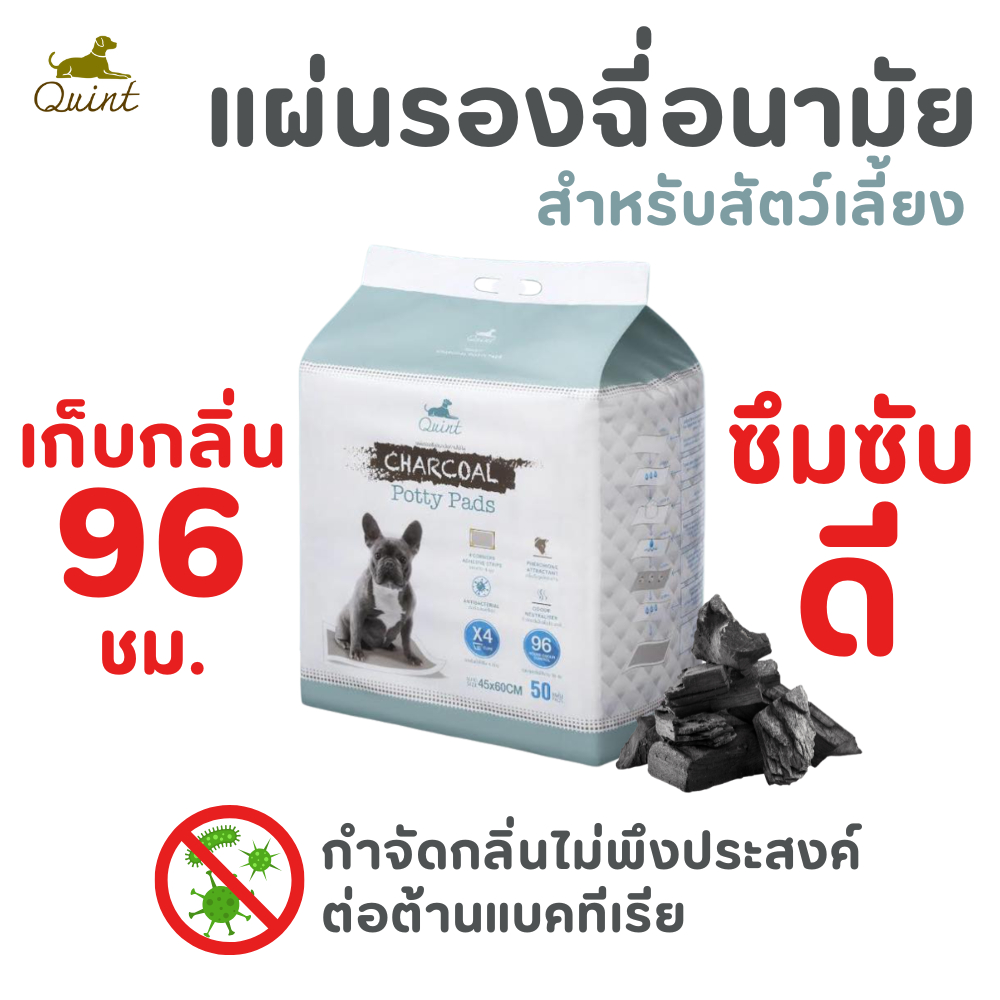 Quint แผ่นรองฉี่ ชาโคล ถ่านไม้ไผ่ ลดกลิ่น ต่อต้านแบคทีเรีย กระตุ้นขับถ่าย 45x60 ซม. 50แผ่น มีแถบกาว