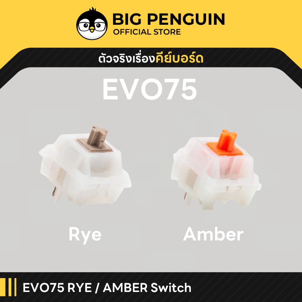 [โค้ดคุ้มลด20%] RYE Switch AMBER Switch Pre-lubed for Mechanical keyboard for EVO75