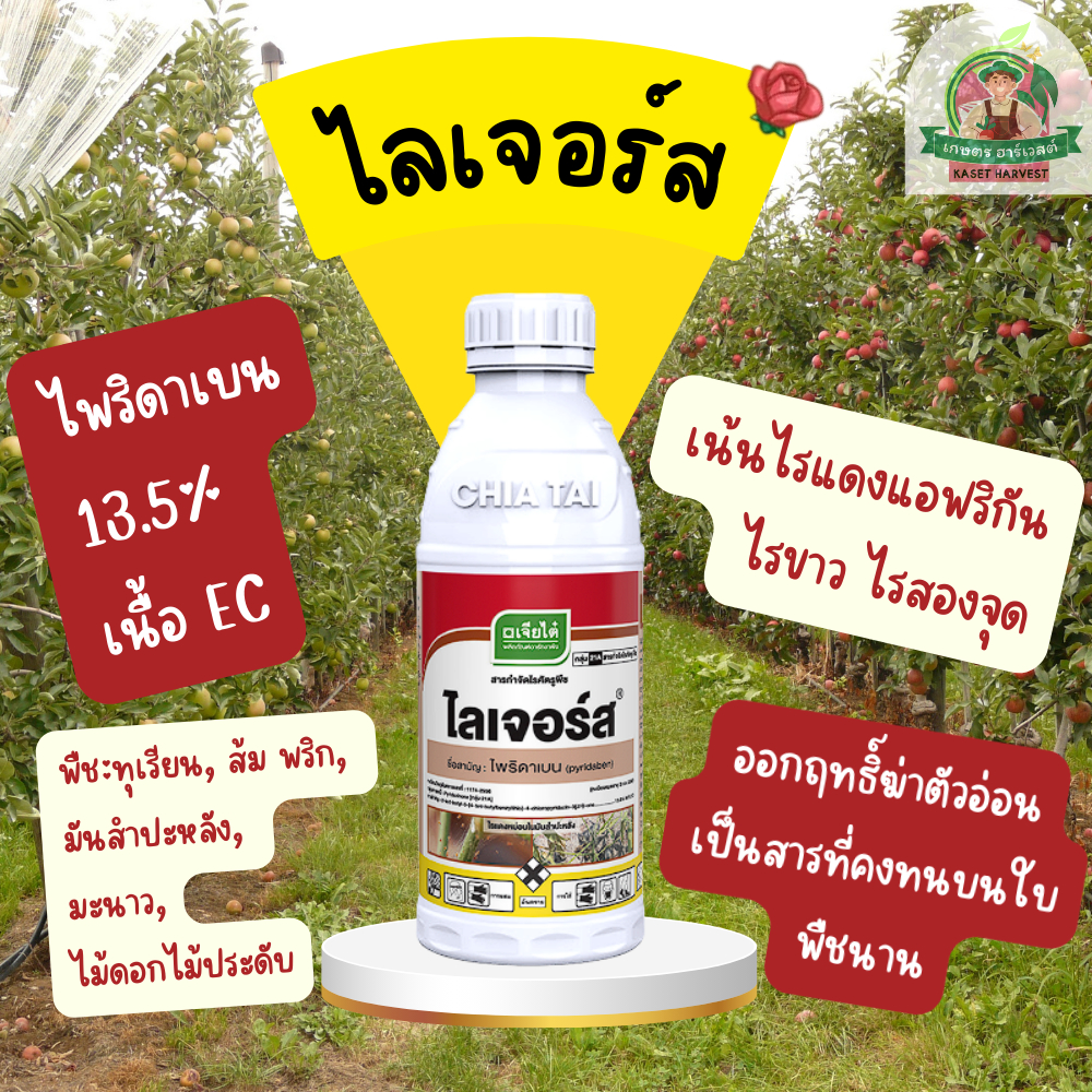 ไลเจอร์ส 1 ลิตร ไพริดาเบน เจียไต๋ ยาฆ่าแมลง ไรแดงไรสองจุด