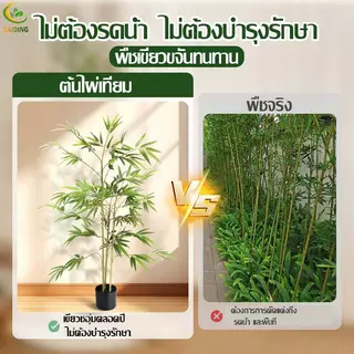【ไม่ต้องดูแล-ร้อยปีไม่เสีย】ต้นไม้ประดิษฐ์ ต้นไม้ปลอม ต้นไผ่ ต้นไม้ปลอมใหญ่ 120/160/180cm ความจำลอง 99% ต้นไม้แต่งห้อง