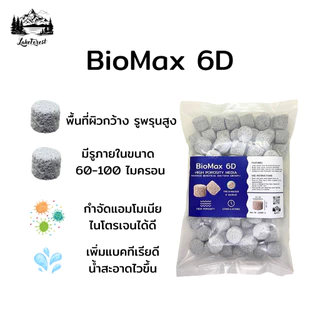 BioMax 6D วัสดุกรองพรีเมียม พื้นที่ผิวมีความพรุนสูงมาก รองรับแบคทีเรียได้ดีขึ้น อุดตันยาก ทำให้น้ำใส