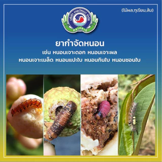 คอนราด คลอแรนทรานิลิโพรล กำจัดหนอนเจาะ หนอนกอ หนอนทุกชนิด ขนาด 1 ลิตร