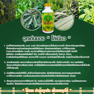 ชุดทดลองไร่เทพโกลด์ 2 ซอง เสริมดอก ออกผลไว ทนฝน-แล้ง เพิ่มผลผลิต+โล่เขียว มัน เขียว ถึก ทน 250 ml.