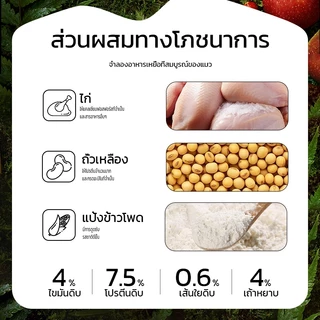 PAWZA PET ขนมเเมวเลีย ขนมแมว แถบแมว cat snack stick 6 รสชาติ รสไก่-กุ้ง/รสทูน่า/รสไก่/รสเนื้อวัว/รสปลาค็อด/รสแซลมอนและไก