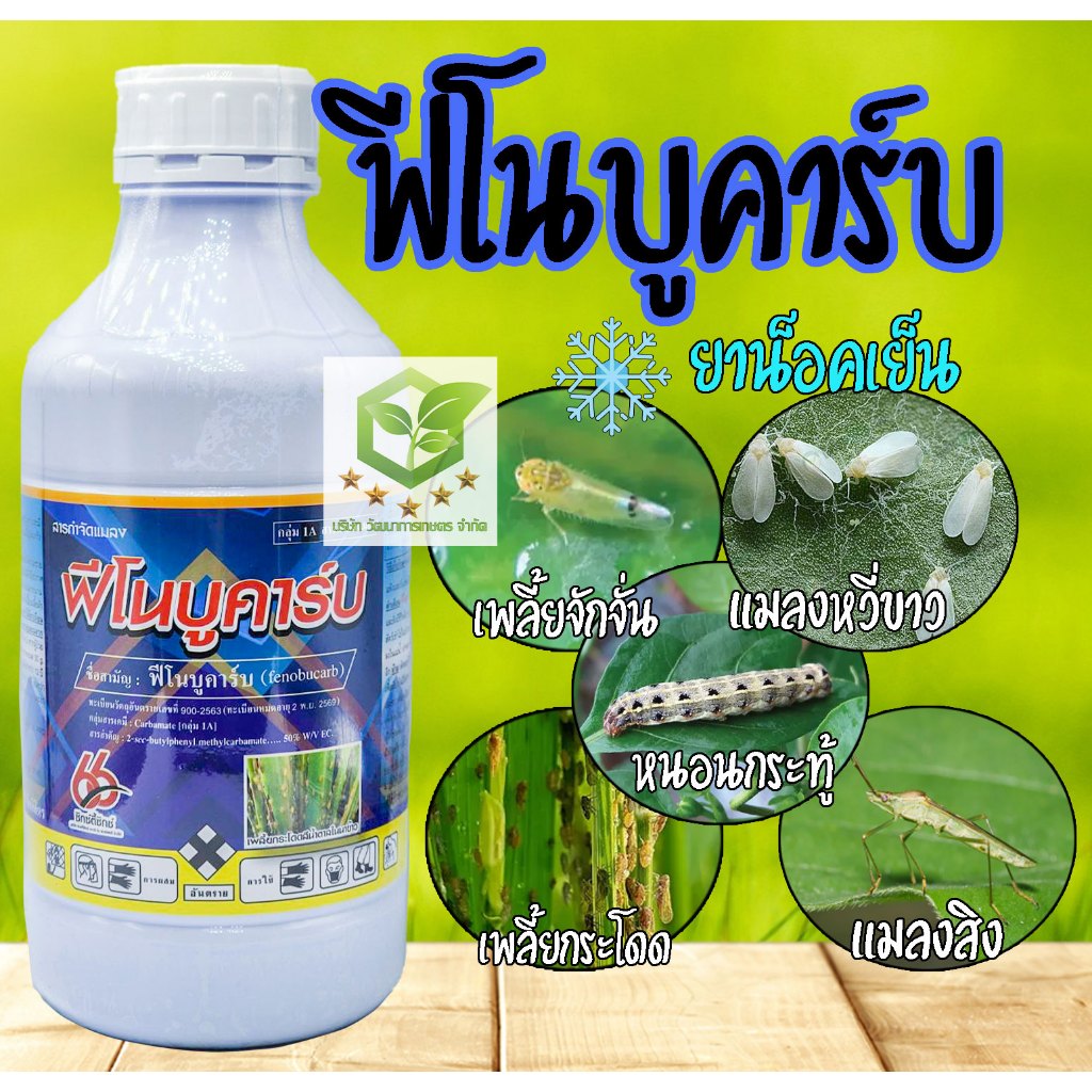 ฟีโนบูคาร์บ (fenobucarb) ขนาด 1ลิตร ใช้ในการป้องกันกำจัดเพลี้ย พ่นให้ทั่วเมื่อพบการระบาดของเพลี้ย