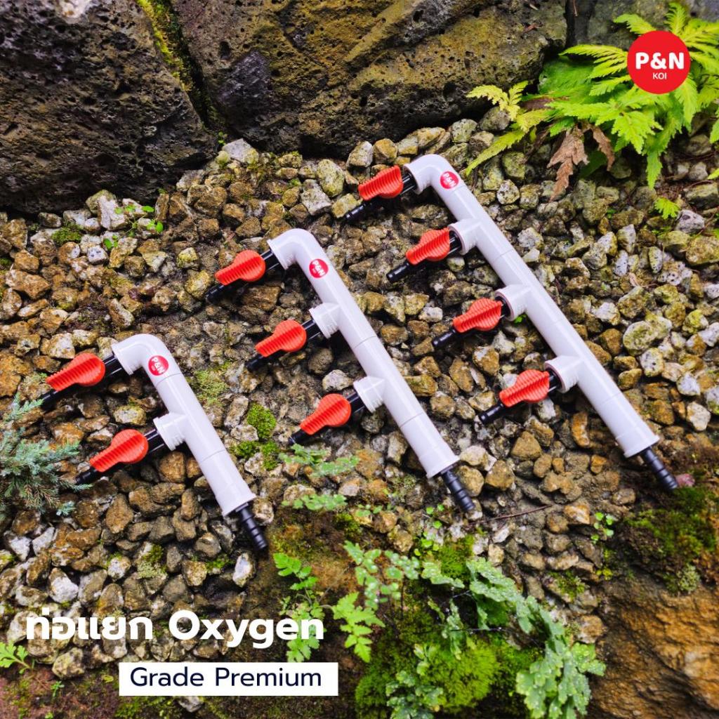 จบปัญหาการแบ่งลมของ Oxygen ด้วยท่อแยก Oxygen ของ P&N KOI