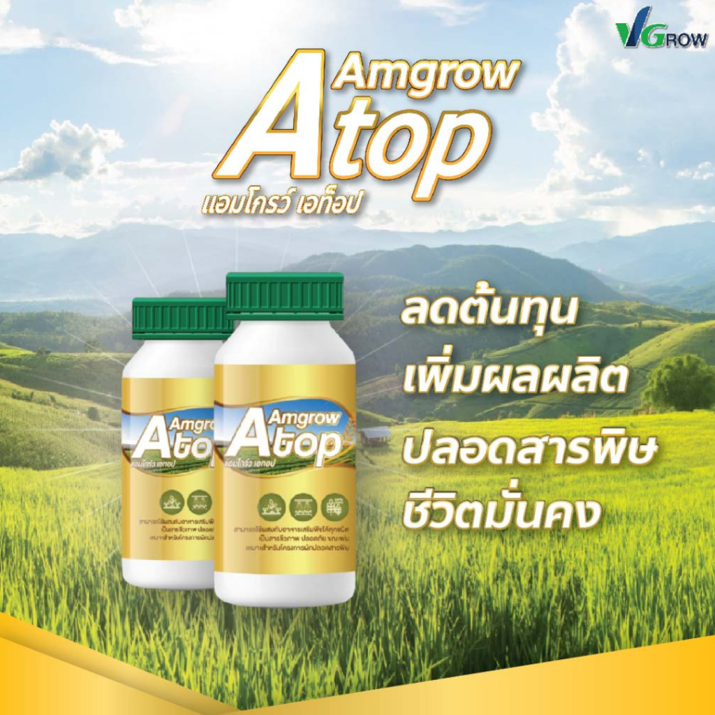 แอมโกรว์ เอทอป ผลิตภัณฑ์ใหม่จากแอมโกรว์ ช่วยแก้ปัญหาเชื้อราและรากเน่าในทุเรียนและไม้ผลต่าง ๆ ใช้ได้กับเกษตรกรไทยทุกคน