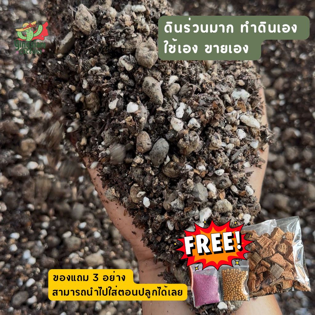ดินกระบองเพชร 500 กรัม ฟรีของแถม 3 อย่าง!! ดินแคคตัส ดินcactus - รูปที่ 2