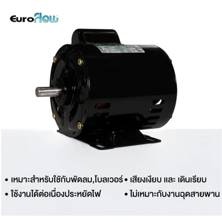 มอเตอร์ Euroflow รุ่น CR 1/4HP 4P FT 220V (G3) เพลา 14 มิล (ไม่เหมาะกับงานฉุดสายพาน)