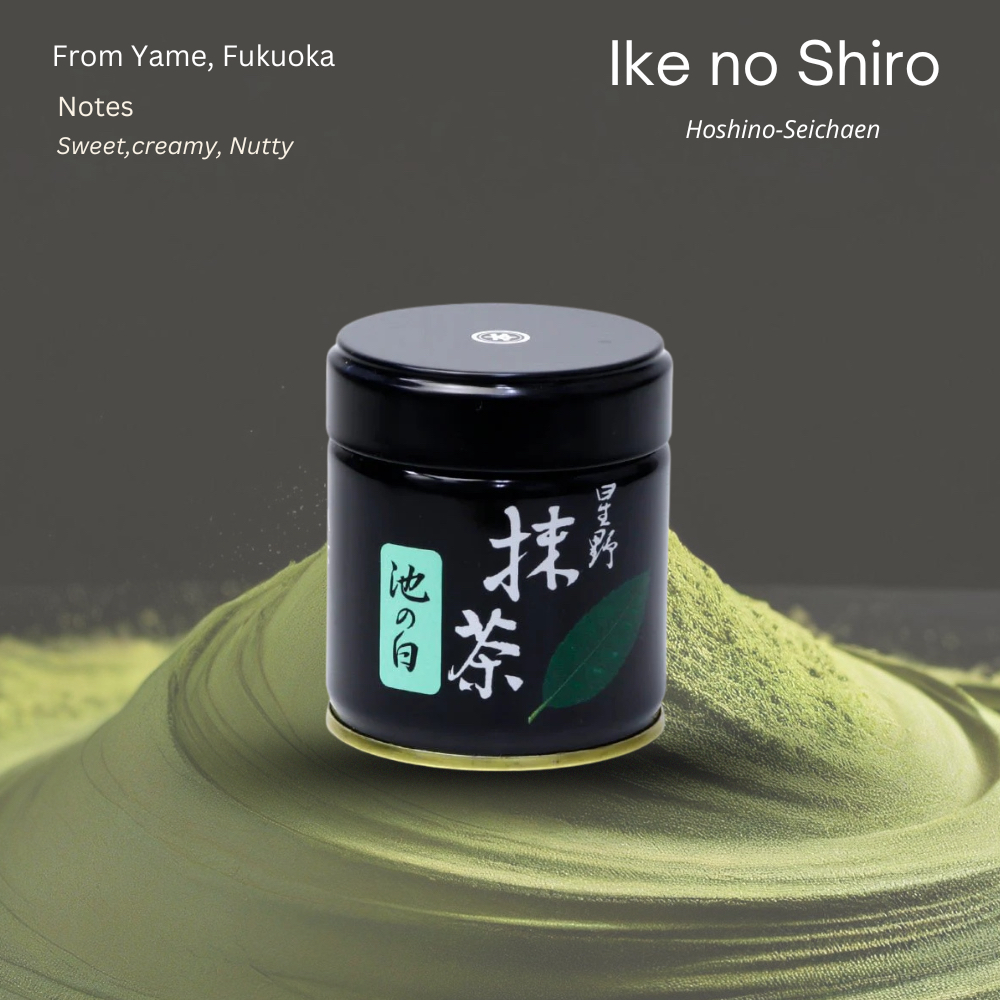 [พร้อมส่ง] ike no shiro 40g จาก Hoshino-Seichaen